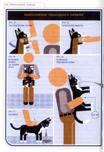 Инструкция по эксплуатации кошки.