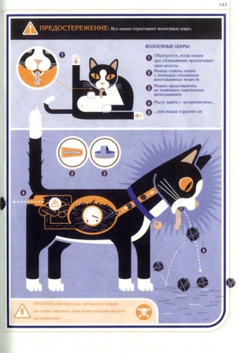 Инструкция по эксплуатации кошки.