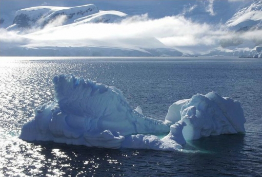 Антарктида (Текст и 50 красивых фото)