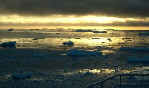 Антарктида (Текст и 50 красивых фото)