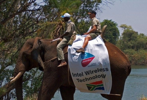 Крупная рекламноя компания интел или лучшее в африку :D