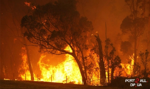 Ужасные пожары в Австралии