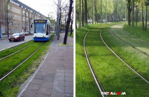 Трамвай и трава - разве совместимо?