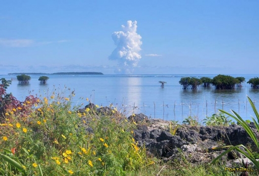 Извержение подводного вулкана у берегов архипелага Тонга, в южной части Тихого океана