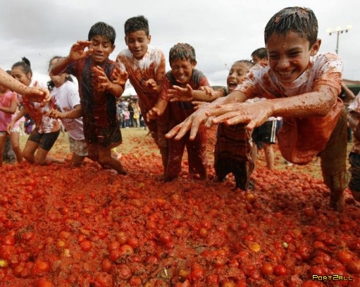 Бои томатами в Колумбии. Колумбийские томатные бои.